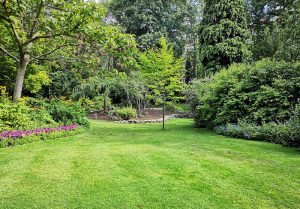 Optimiser l'expérience du jardin à Montigny-sur-Canne